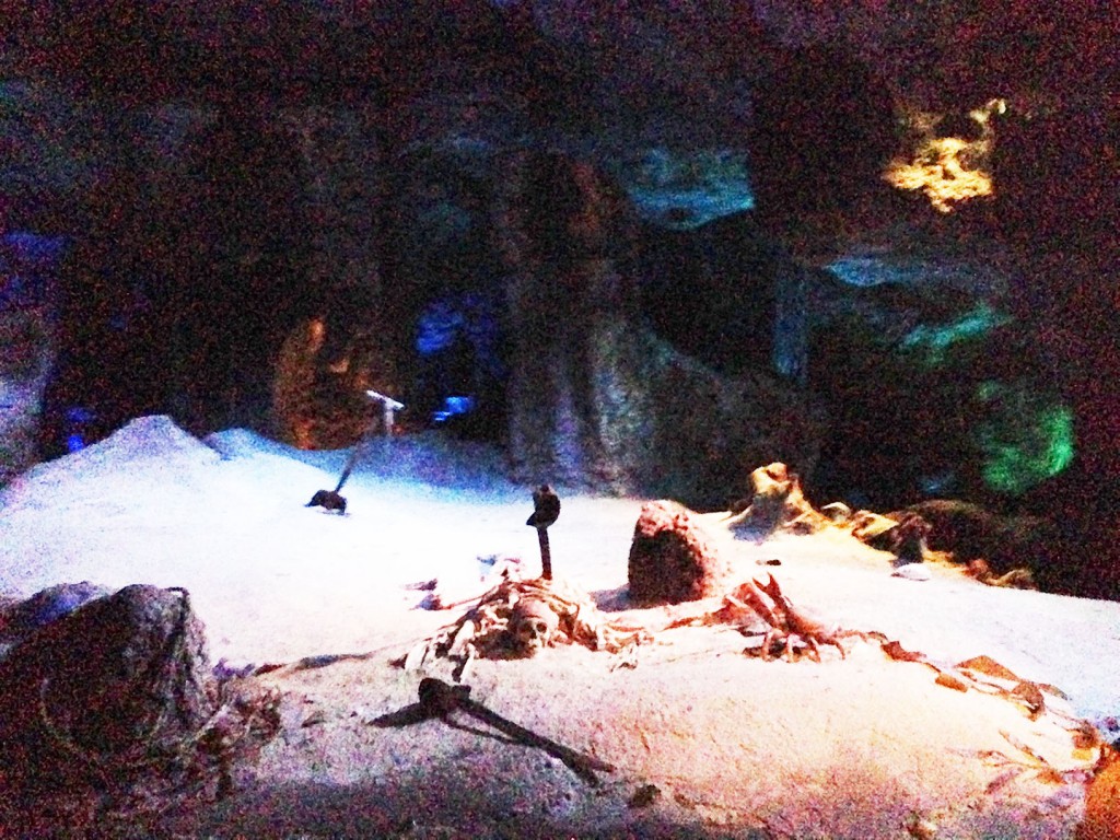 Pirates Cave Scene