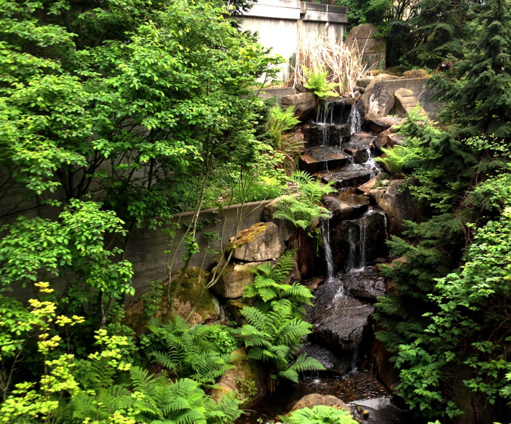 Waterfall at the Urban Ecoforest at REI's flagship location