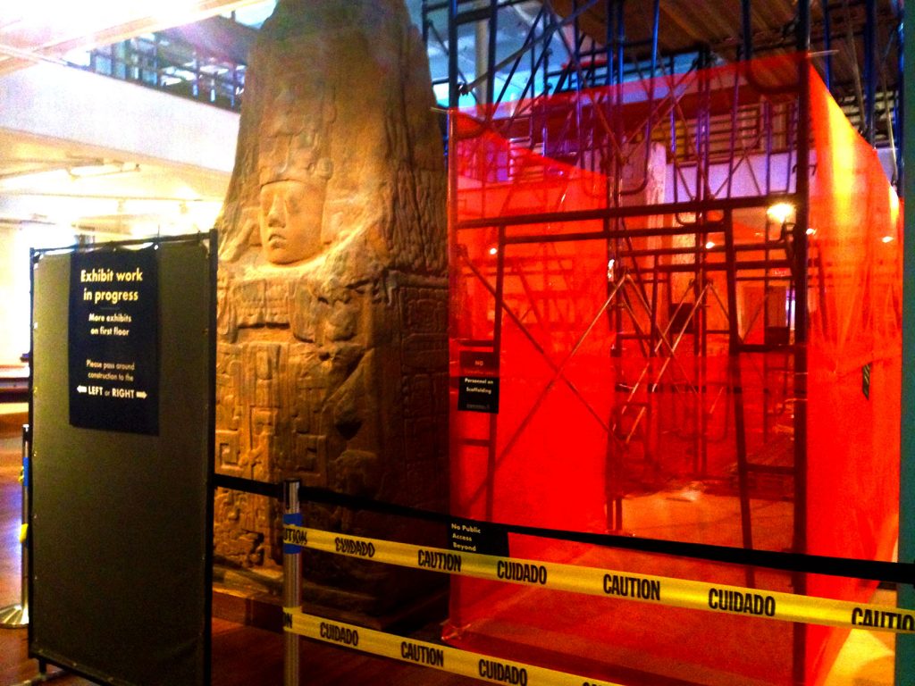 A work in progress. Like this exhibit at the Harvard natural history museum.