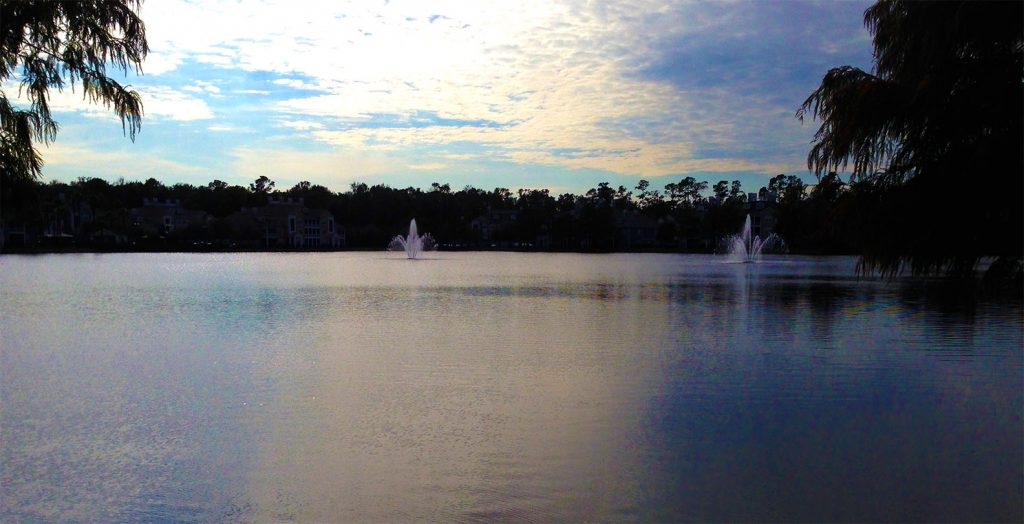 A pond, somewhere in Jacksonville Florida